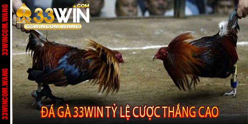 Đá Gà 33win